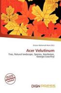 Acer Velutinum edito da Dign Press