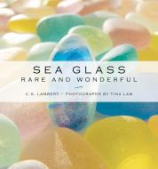 Sea Glass di C. S. Lambert edito da Rowman & Littlefield