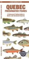 Quebec Fishes (English): A Waterproof Folding Guide to Native and Introduced Species di Waterford Press edito da WATERFORD PR