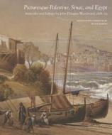 Picturesque Palestine, Sinai and Egypt: Artworks and Letters of John Douglas Woodward, 1878-1879 edito da GEORGE F THOMPSON PUB