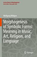 Morphogenesis of Symbolic Forms: Meaning in Music, Art, Religion, and Language di Wolfgang Wildgen edito da Springer International Publishing