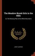 The Meadow-Brook Girls in the Hills: Or, the Missing Pilot of the White Mountains di Janet Aldridge edito da PINNACLE