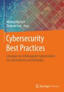 Cybersecurity Best Practices edito da Springer-Verlag GmbH