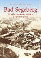 Bad Segeberg di Hans-Peter Sparr, Hans-Werner Baurycza edito da Sutton Verlag GmbH