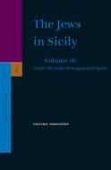 The Jews in Sicily, Volume 18 Under the Rule of Aragon and Spain di Shlomo Simonsohn edito da BRILL ACADEMIC PUB