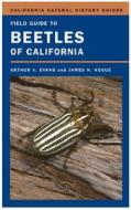 Field Guide to Beetles of California di Arthur V. Evans, Dr James N. Hogue edito da University of California Press