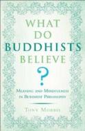 What Do Buddhists Believe?: Meaning and Mindfulness in Buddhist Philosophy di Tony Morris edito da Walker & Company