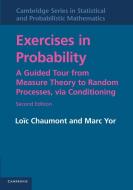 Exercises in Probability di L. Chaumont, Lo C. Chaumont, Marc Yor edito da Cambridge University Press