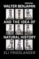 Walter Benjamin and the Idea of Natural History di Eli Friedlander edito da STANFORD UNIV PR