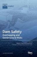 Dam Safety. edito da MDPI AG