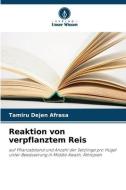 Reaktion von verpflanztem Reis di Tamiru Dejen Afrasa edito da Verlag Unser Wissen