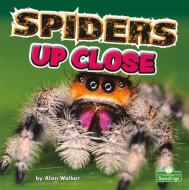 Spiders Up Close di Alan Walker edito da CRABTREE SEEDLINGS