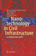 Nanotechnology in Civil Infrastructure edito da Springer-Verlag GmbH