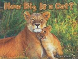 How Big Is a Cat? di Alan Rubin edito da STECK VAUGHN CO