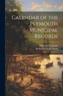 Calendar of the Plymouth Municipal Records di Richard Nicholls Worth, Plymouth Plymouth edito da LEGARE STREET PR