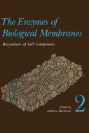 The Enzymes of Biological Membranes di Anthony Martonosi edito da Springer US