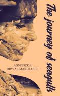The journey of seagulls di Agnieszka Dryjas-Makhloufi edito da New Generation Publishing