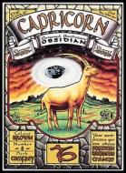 Capricorn [With Personal Birthstone: Obsidian] edito da U.S. Games Systems