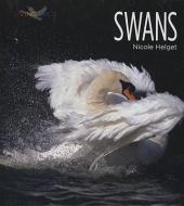 Swans di Nicole Helget edito da CREATIVE CO