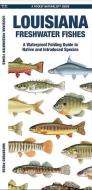 Louisiana Freshwater Fishes: A Waterproof Folding Guide to Native and Introduced Species di Waterford Press edito da WATERFORD PR