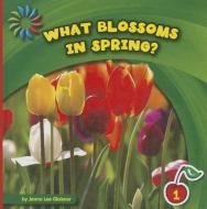 What Blossoms in Spring? di Jenna Lee Gleisner edito da CHERRY LAKE PUB