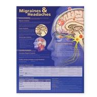 Migraines And Headaches Anatomical Chart edito da Lippincott Williams And Wilkins