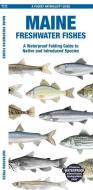 Maine Freshwater Fishes: A Waterproof Folding Guide to Native and Introduced Species di Waterford Press edito da WATERFORD PR