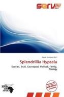 Splendrillia Hypsela edito da Crypt Publishing