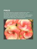 Pinus: Pin, Pinus Pinaster, Pin Noir, Pr di Source Wikipedia edito da Books LLC, Wiki Series