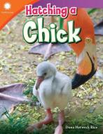 Hatching a Chick (Grade 2) di Dona Herweck Rice edito da TEACHER CREATED MATERIALS
