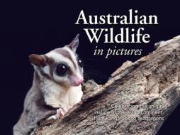 Australian Wildlife in Picture: Celebrating the Unique Nature of the Island Continent, from Kangaroos to Sea Dragons di New Holland Publishers edito da NEW HOLLAND