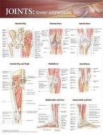 Joints Of The Lower Extremities Anatomical Chart di Anatomical Chart Company, Acc edito da Lippincott Williams And Wilkins