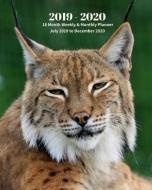 2019 - 2020 18 Month Weekly & Monthly Planner July 2019 to December 2020: Bobcat Wildlife Animal Nature Vol 16 Monthly C di Dazzle Book Press edito da INDEPENDENTLY PUBLISHED