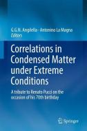 Correlations in Condensed Matter under Extreme Conditions edito da Springer International Publishing
