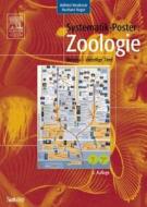 Systematik-Poster: Zoologie di Reinhard Rieger, Wilfried Westheide edito da Springer
