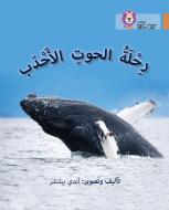 Journey of Humpback Whales di Andy Belcher edito da HarperCollins Publishers