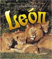 El Ciclo de Vida del Leon: The Life Cycle of a Lion = Life Cycle of a Lion di Bobbie Kalman, Amanda Bishop edito da CRABTREE PUB