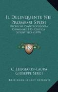 Il Delinquente Nei Promessi Sposi: Ricerche D'Antropologia Criminale E Di Critica Scientifica (1899) di C. Leggiardi-Laura edito da Kessinger Publishing