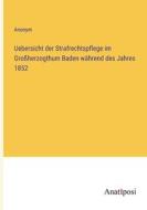 Uebersicht der Strafrechtspflege im Großherzogthum Baden während des Jahres 1852 di Anonym edito da Anatiposi Verlag