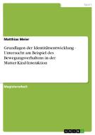 Grundlagen der Identitätsentwicklung - Untersucht am Beispiel des Bewegungsverhaltens in der Mutter-Kind-Interaktion di Matthias Meier edito da GRIN Publishing