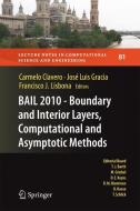 BAIL 2010 - Boundary and Interior Layers, Computational and Asymptotic Methods edito da Springer-Verlag GmbH