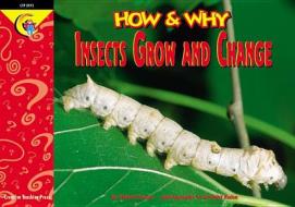 Insects Grow and Change di Elaine Pascoe edito da Creative Teaching Press