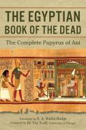 The Egyptian Book of the Dead: The Complete Papyrus of Ani di E. A. Wallis Budge edito da CLYDESDALE PR