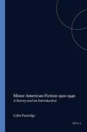 Minor American Fiction 1920-1940: A Survey and an Introduction di Colin Partridge edito da BRILL ACADEMIC PUB