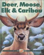 Deer, Moose, Elk and Caribou di Deborah Hodge edito da KIDS CAN PR