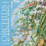 Kew Gardens: Orchids By Marianne North Mini Wall Calendar 2022 (Art Calendar) edito da Flame Tree Publishing