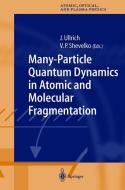 Many-Particle Quantum Dynamics in Atomic and Molecular Fragmentation edito da Springer Berlin Heidelberg