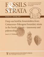 Deep-sea Benthic Foraminifera from Cretaceous-Paleogene Boundary Strata in the South Atlantic di J. G. V. Widmark edito da Wiley-Blackwell