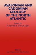 Avalonian and Cadomian Geology of the North Atlantic di R. A. Strachan, G. K. Taylor edito da Springer Netherlands
