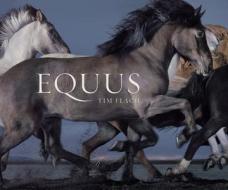 Equus (Mini) di Tim Flach edito da Abrams & Chronicle Books